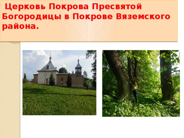  Церковь Покрова Пресвятой Богородицы в Покрове Вяземского района.   