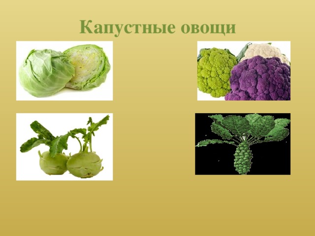 Капустные овощи 