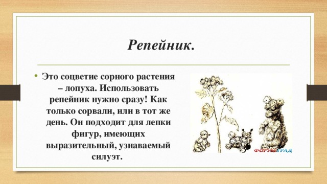 Репейник.  Это соцветие сорного растения – лопуха. Использовать репейник нужно сразу! Как только сорвали, или в тот же день. Он подходит для лепки фигур, имеющих выразительный, узнаваемый силуэт.  