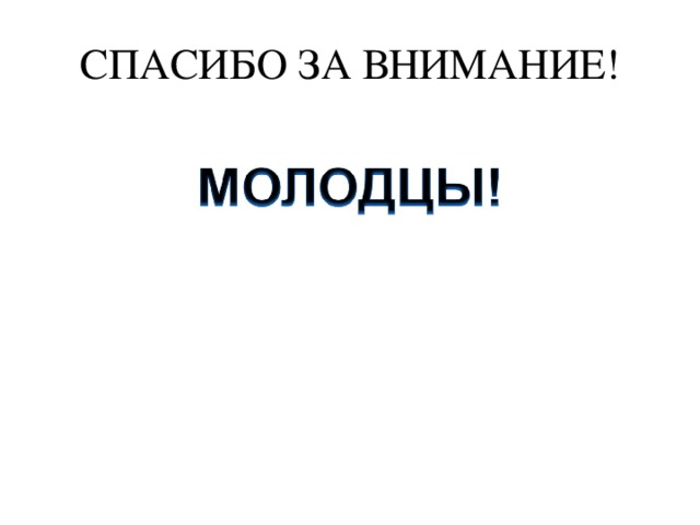 СПАСИБО ЗА ВНИМАНИЕ! 