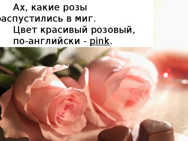 Ах, какие розы распустились в миг.  Цвет красивый розовый,  по-английски - pink .