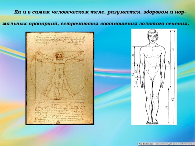 В механической картине мира считалось что пространственные размеры тела