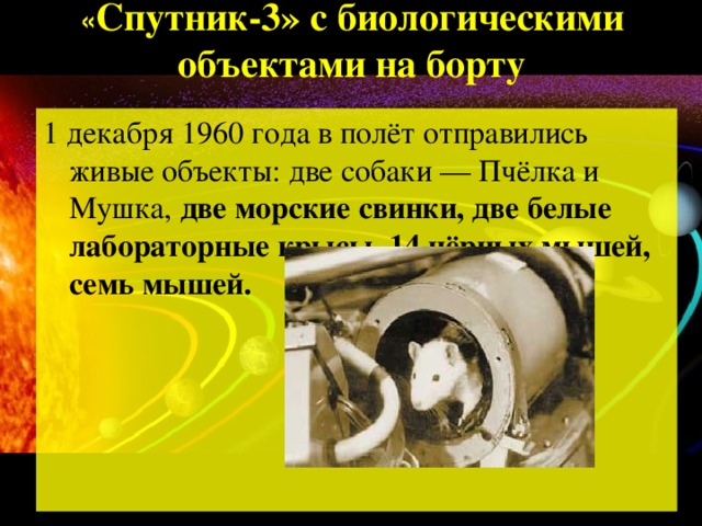 « Спутник-3» с биологическими объектами на борту   1 декабря 1960 года в полёт отправились живые объекты: две собаки — Пчёлка и Мушка, две морские свинки, две белые лабораторные крысы, 14 чёрных мышей, семь мышей.  