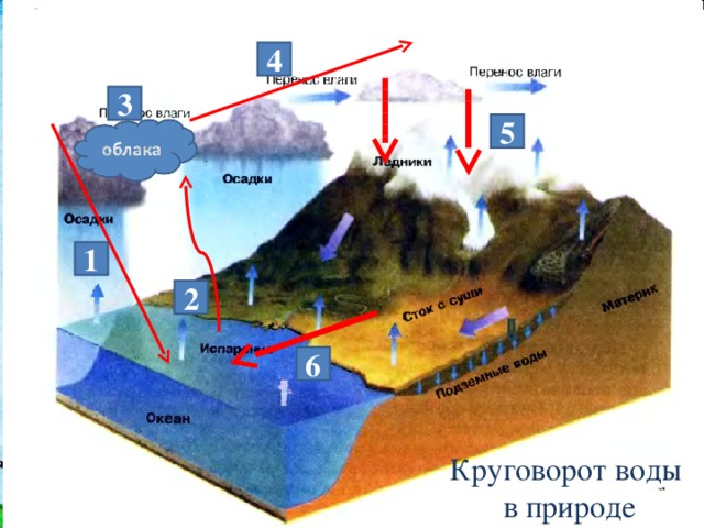 4 3 5 1 2 6 Круговорот воды  в природе 