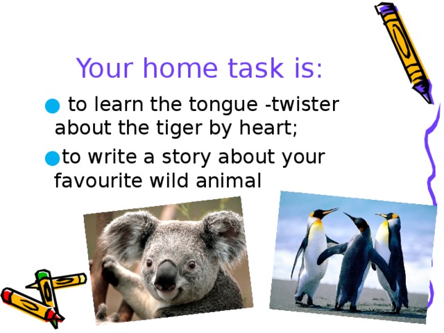 Your home task is: ●  to learn the tongue -twister about the tiger by heart; ● to write a story about your favourite wild animal 