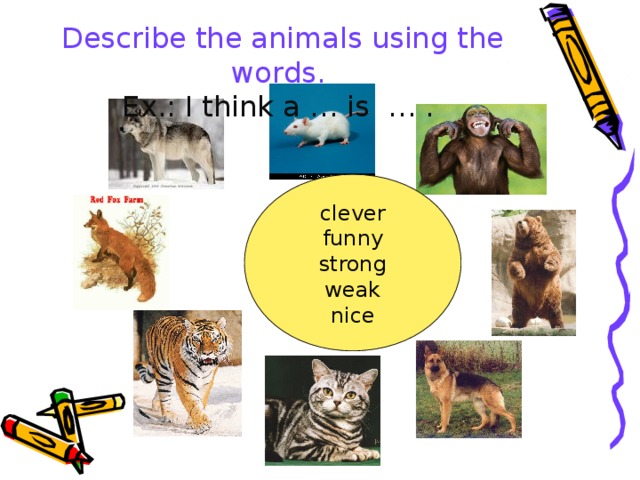  Describe the animals using the words. Ex.: I think a … is … . clever funny strong weak nice 