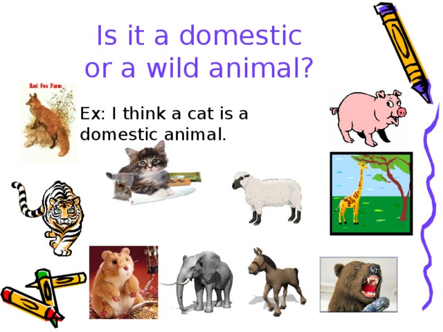 Is it a domestic  or a wild animal? Ex: I think a cat is a domestic animal. 