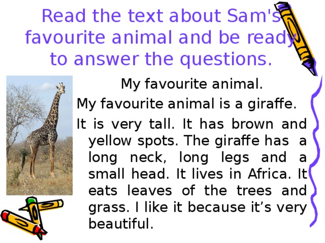 Read the text about Sam's favourite animal and be ready to answer the questions. My favourite animal. My favourite animal is a giraffe. It is very tall. It has brown and yellow spots. The giraffe has a long neck, long legs and a small head. It lives in Africa. It eats leaves of the trees and grass. I like it because it’s very beautiful. 