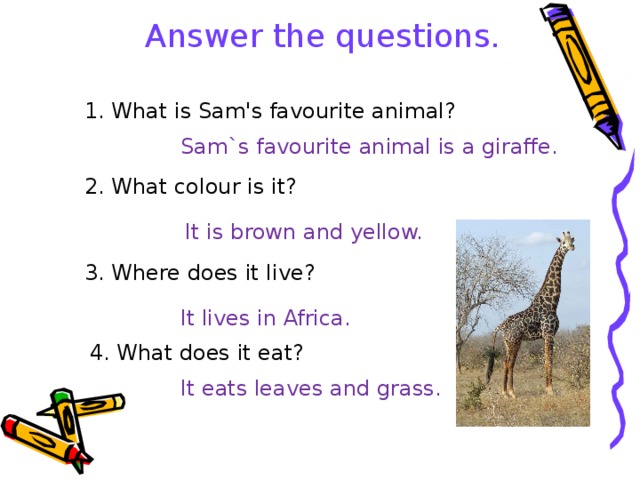 Answer the questions. 1. What is Sam's favourite animal? Sam`s favourite animal is a giraffe. 2. What colour is it? It is brown and yellow. 3. Where does it live? It lives in Africa. 4. What does it eat? It eats leaves and grass. 