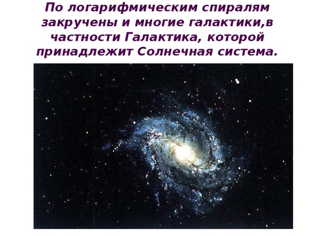 По логарифмическим спиралям закручены и многие галактики,в частности Галактика, которой принадлежит Солнечная система. 