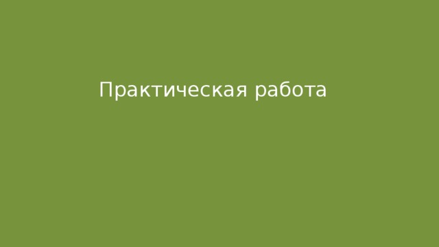 Практическая работа 