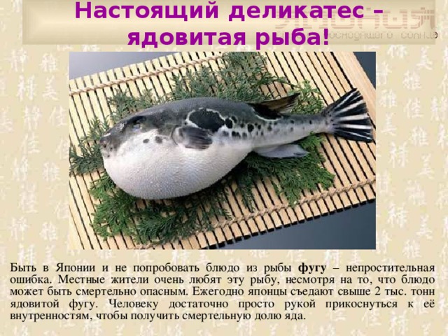 Настоящий деликатес – ядовитая рыба! Быть в Японии и не попробовать блюдо из рыбы фугу – непростительная ошибка. Местные жители очень любят эту рыбу, несмотря на то, что блюдо может быть смертельно опасным. Ежегодно японцы съедают свыше 2 тыс. тонн ядовитой фугу. Человеку достаточно просто рукой прикоснуться к её внутренностям, чтобы получить смертельную долю яда. 