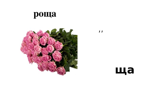 роща ’’   ща 