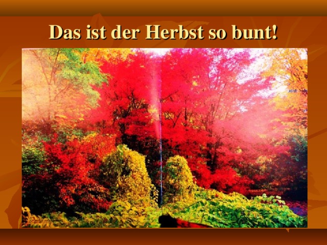 Das ist der Herbst so bunt!