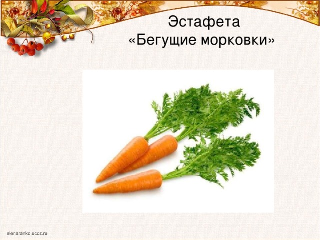  Эстафета  «Бегущие морковки» 
