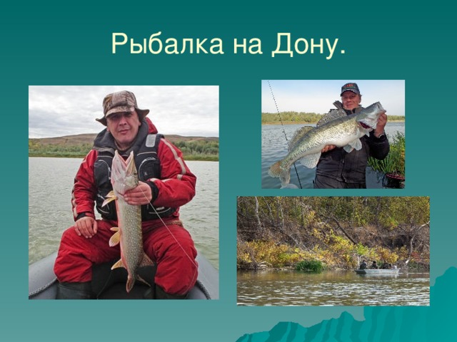 Рыбалка на Дону. 