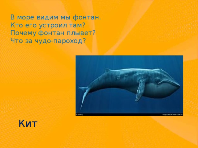 В море видим мы фонтан. Кто его устроил там? Почему фонтан плывет? Что за чудо-пароход? Кит 