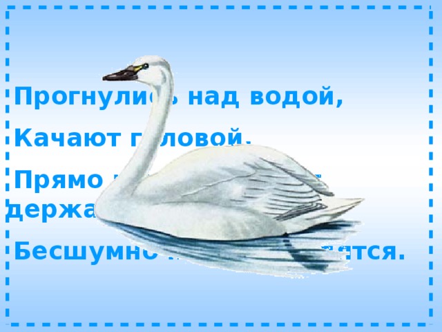  Прогнулись над водой,  Качают головой.  Прямо и гордо умеют держаться,  Бесшумно на воду садятся. 