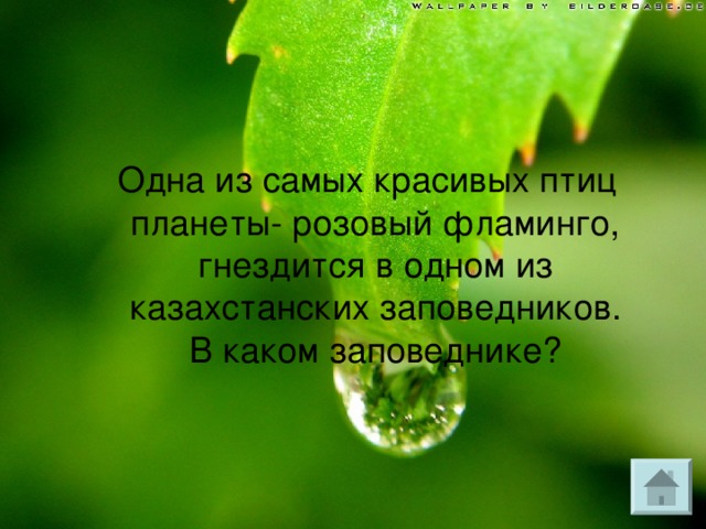 Самые высокие горы Казахстана – имеют название «Тянь-Шань» что в переводе с китайского языка означают… 