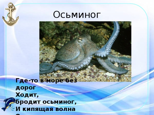 Осьминог Где-то в море без дорог  Ходит, бродит осьминог,  И кипящая волна  Осьминогу не страшна! 