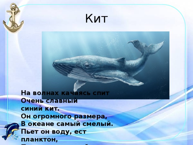 Кит На волнах качаясь спит  Очень славный синий кит.  Он огромного размера,  В океане самый смелый.  Пьет он воду, ест планктон,  Потому и сильный он. 