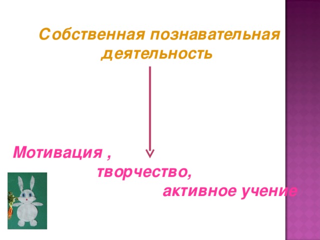 Собственная познавательная деятельность Мотивация ,  творчество,  активное учение 