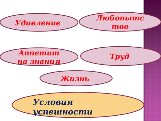 Любопытство Удивление Труд Аппетит на знания Жизнь Условия успешности 