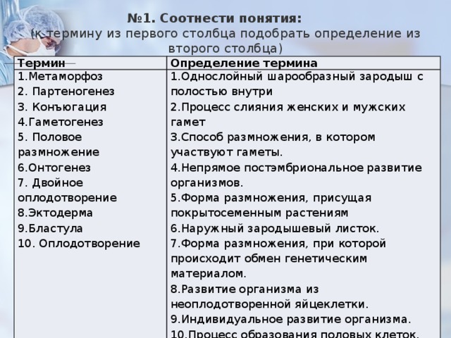 С чем надо соотнести объект цель проекта