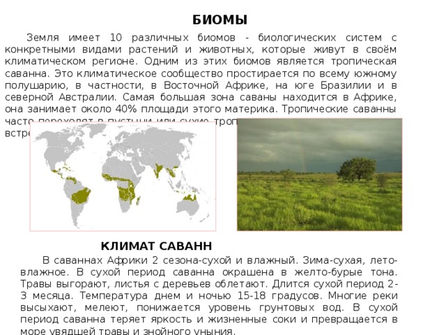 Основные биомы земли презентация 11 класс