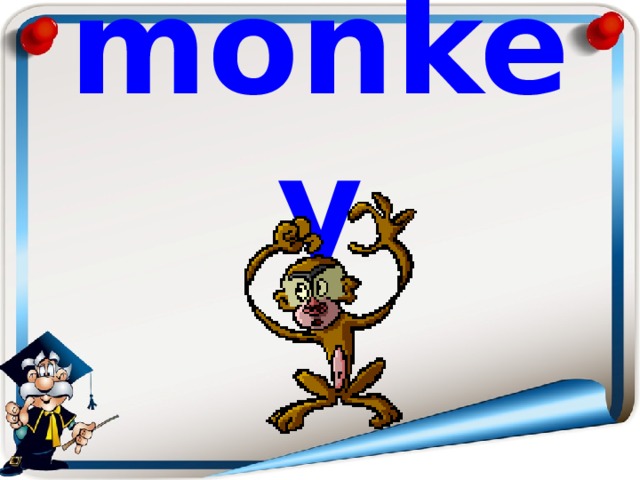 monkey 