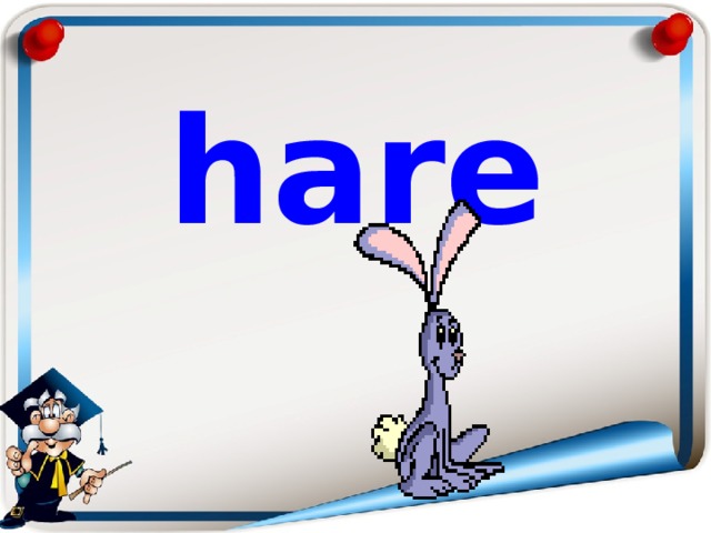 hare 