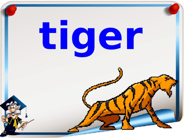 tiger 