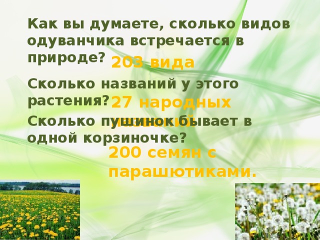 Как вы думаете, сколько видов одуванчика встречается в природе? 203 вида Сколько названий у этого растения? 27 народных названий Сколько пушинок бывает в одной корзиночке? 200 семян с парашютиками.  