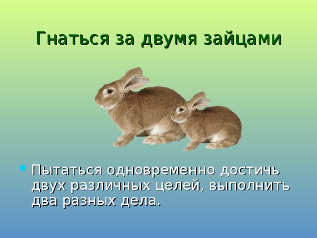 Гнаться за двумя зайцами Пытаться одновременно достичь двух различных целей, выполнить два разных дела. 