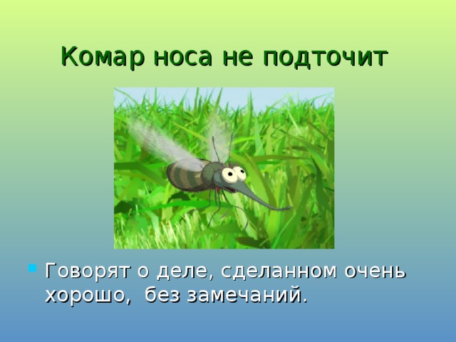 Комар носа не подточит  Говорят о деле, сделанном очень хорошо, без замечаний. 