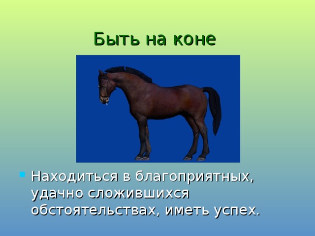 Быть на коне  Находиться в благоприятных, удачно сложившихся обстоятельствах, иметь успех. 