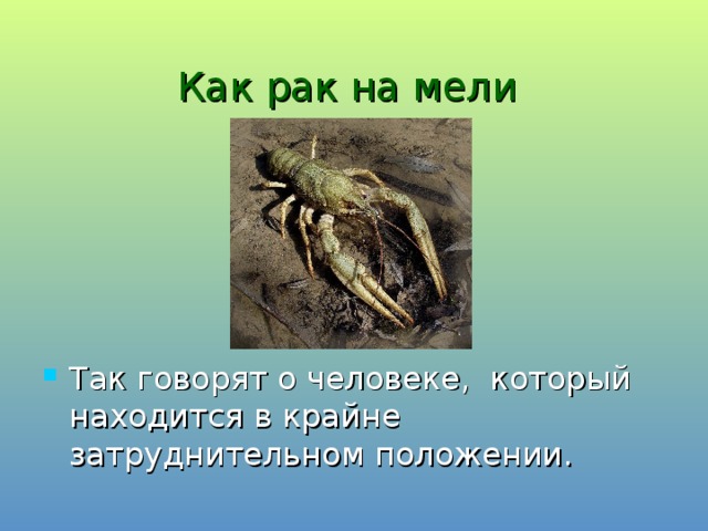 Как рак на мели  Так говорят о человеке, который находится в крайне затруднительном положении. 