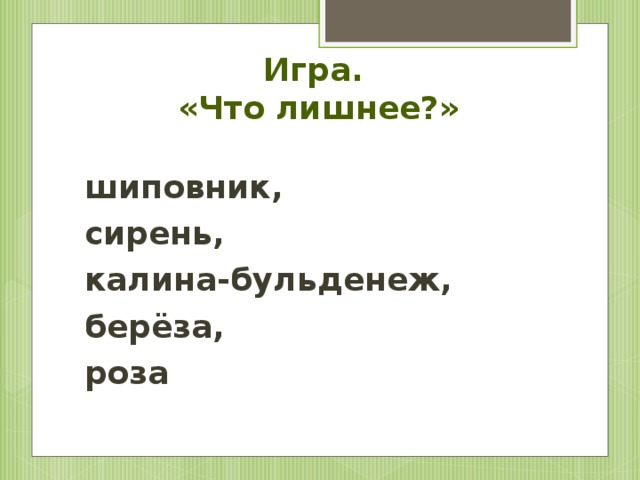 Игра.  «Что лишнее?» шиповник, сирень, калина-бульденеж, берёза, роза