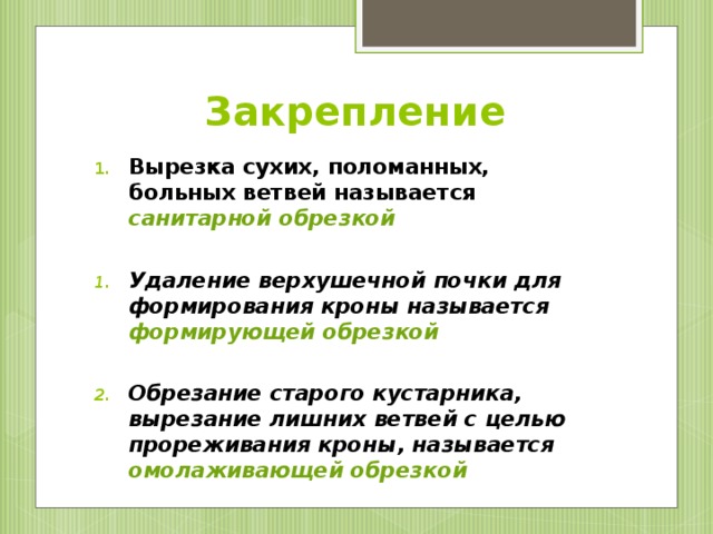 Закрепление Вырезка сухих, поломанных, больных ветвей называется санитарной обрезкой  Удаление верхушечной почки для формирования кроны называется формирующей обрезкой  Обрезание старого кустарника, вырезание лишних ветвей с целью прореживания кроны, называется омолаживающей обрезкой