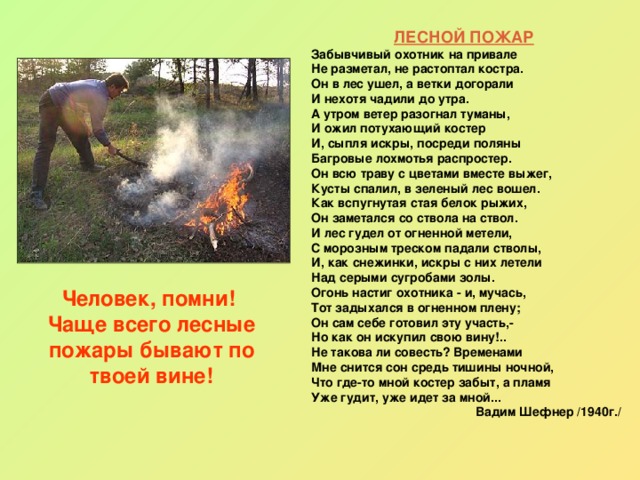 ЛЕСНОЙ ПОЖАР  Забывчивый охотник на привале Не разметал, не растоптал костра. Он в лес ушел, а ветки догорали И нехотя чадили до утра. А утром ветер разогнал туманы, И ожил потухающий костер И, сыпля искры, посреди поляны Багровые лохмотья распростер. Он всю траву с цветами вместе выжег, Кусты спалил, в зеленый лес вошел. Как вспугнутая стая белок рыжих, Он заметался со ствола на ствол. И лес гудел от огненной метели, С морозным треском падали стволы, И, как снежинки, искры с них летели Над серыми сугробами золы. Огонь настиг охотника - и, мучась, Тот задыхался в огненном плену; Он сам себе готовил эту участь,- Но как он искупил свою вину!.. Не такова ли совесть? Временами Мне снится сон средь тишины ночной, Что где-то мной костер забыт, а пламя Уже гудит, уже идет за мной... Вадим Шефнер /1940г./ Человек, помни!  Чаще всего лесные пожары бывают по твоей вине!