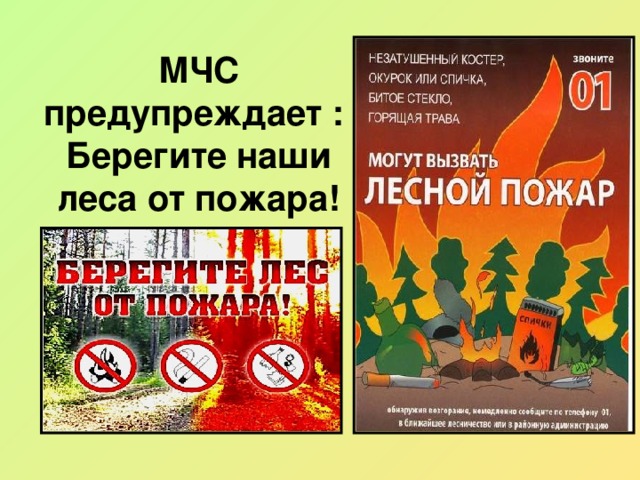 МЧС предупреждает :  Берегите наши леса от пожара!