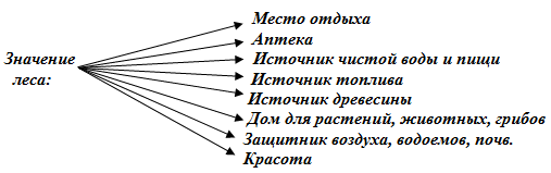 Значение леса в природе и жизни человека схема