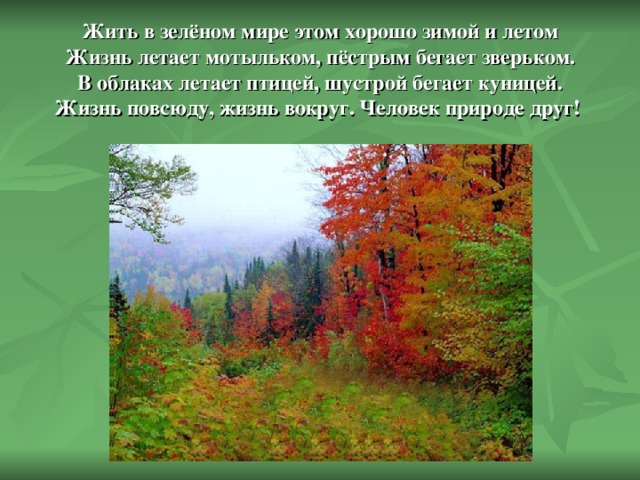    Жить в зелёном мире этом хорошо зимой и летом  Жизнь летает мотыльком, пёстрым бегает зверьком.  В облаках летает птицей, шустрой бегает куницей.  Жизнь повсюду, жизнь вокруг. Человек природе друг!     