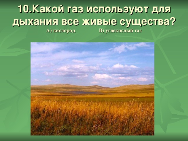 10.Какой газ используют для дыхания все живые существа?  А) кислород В) углекислый газ 