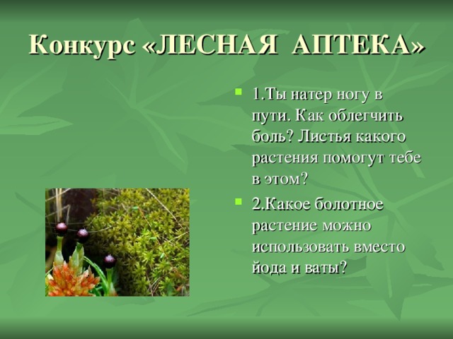 1.Ты натер ногу в пути. Как облегчить боль? Листья какого растения помогут тебе в этом? 2.Какое болотное растение можно использовать вместо йода и ваты? 