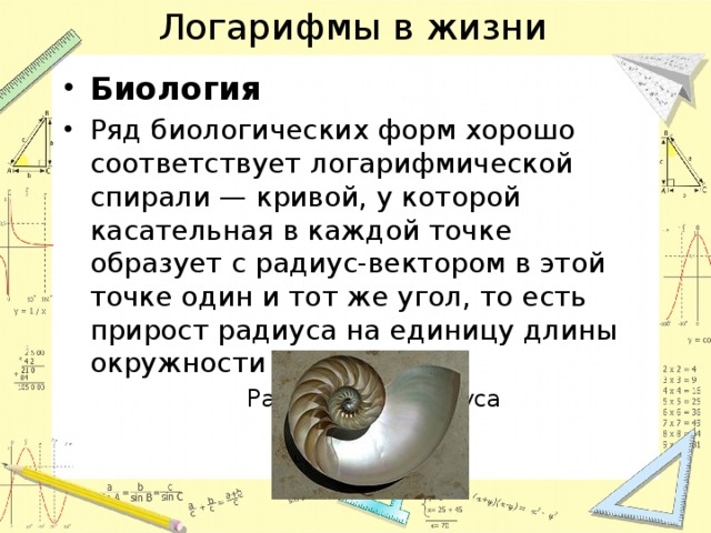 Логарифмы в науке. Логарифмы в жизни и технике. Применение логарифмов в жизни. Логарифмическая спираль в биологии. Логарифмы в природе и технике.