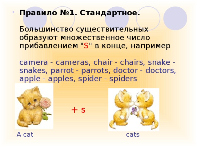 Правило №1. Стандартное.   Большинство существительных образуют множественное число прибавлением 