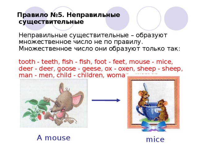  Правило №5. Неправильные существительные   Неправильные существительные – образуют множественное число не по правилу. Множественное  число  они  образуют  только  так :   tooth - teeth, fish - fish, foot - feet, mouse - mice, deer - deer, goose - geese, ox - oxen, sheep - sheep, man - men, child - children, woman - women    A mouse mice 