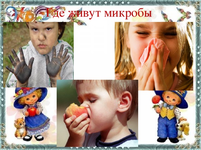 Где живут микробы  