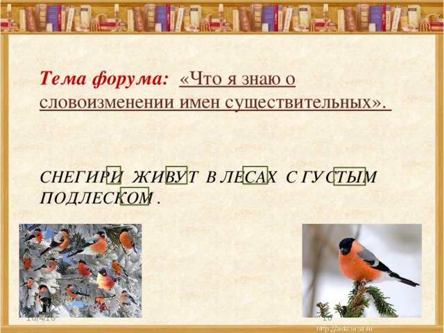 Тема форума: «Что я знаю о словоизменении имен существительных».  Снегири живут в лесах с густым подлеском . 10/4/16  